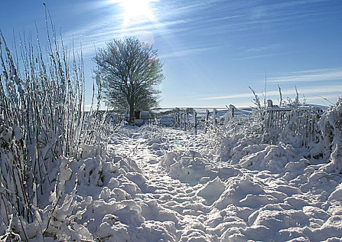 英格兰,西约克郡,雪景,蓝天,阳光,清新,下雪,重,霜