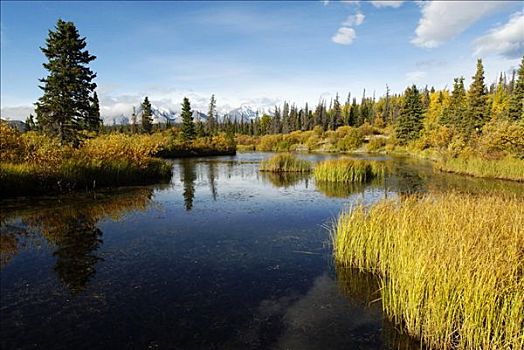河,克卢恩国家公园,育空地区,加拿大
