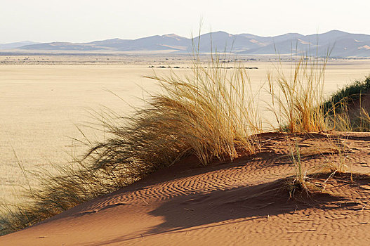 沙丘,山谷,纳米比亚,非洲