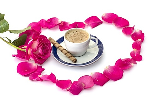咖啡杯,花瓣,玫瑰,深红色