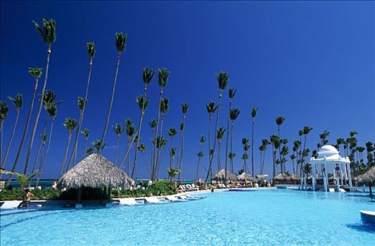 游泳池,帕尔玛,酒店,干盐湖,蓬塔卡纳,多米尼加共和国,加勒比海
