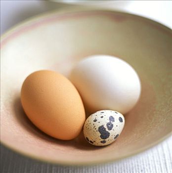 鹌鹑蛋,鸡蛋,盘子