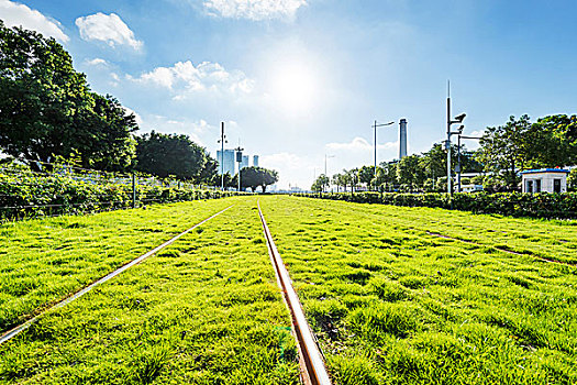 铁路,树,格陵兰