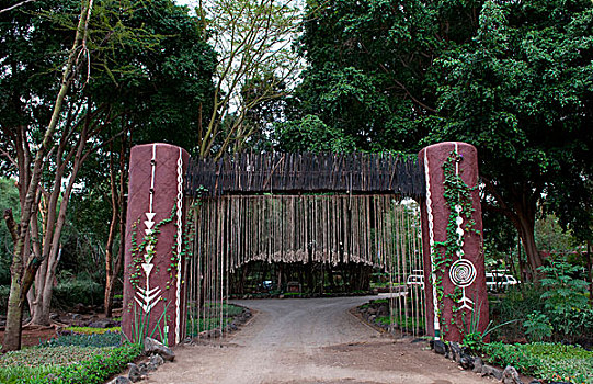 肯尼亚,安伯塞利国家公园,入口,优雅,奢华,住宿,旅游