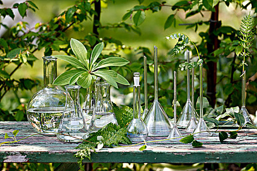花瓶,花园桌