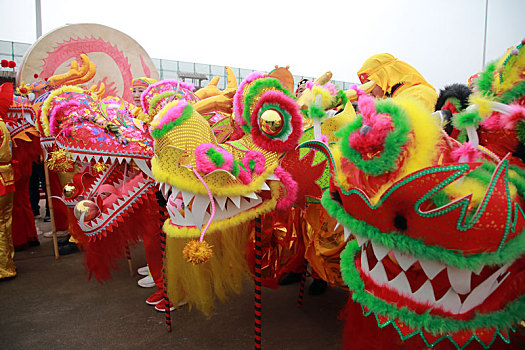 锣鼓喧天迎新春,舞龙舞狮贺新年