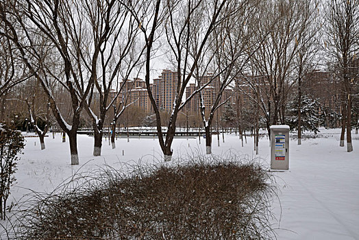 河北省石家庄市公园雪景