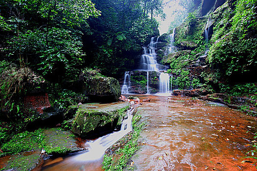 贵州赤水-赤水葫芦镇金沙沟国家级桫椤自然保护区
