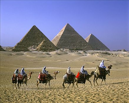 景色,骆驼,驼队,金字塔,吉萨金字塔,遗址,开罗,埃及