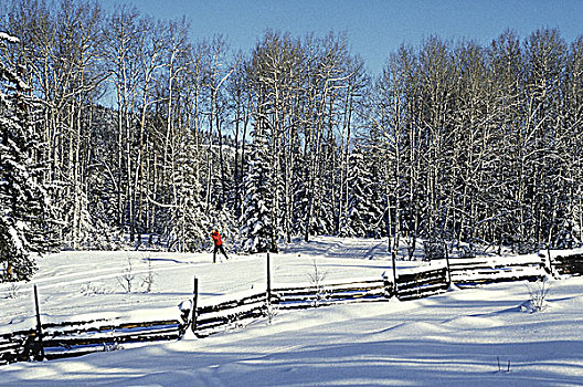 越野滑雪,卡里布,不列颠哥伦比亚省,加拿大