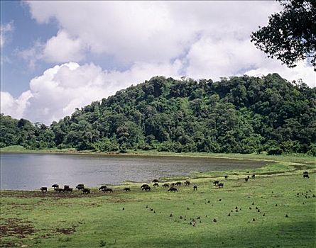 山,宽阔,区域,火山,上升,高度,脚,围绕,海洋,荒芜,半荒漠,地形,北方,肯尼亚,湖,乐园,火山口,地面,名字