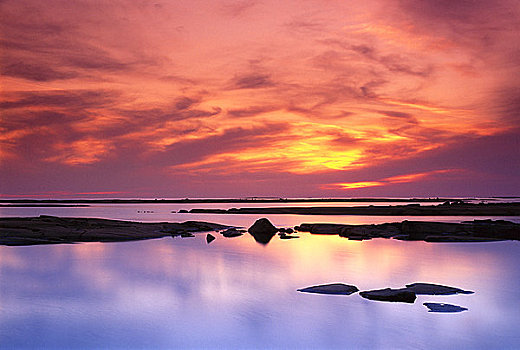 头部,岛屿,日落,30多岁,乔治亚湾,安大略省,加拿大