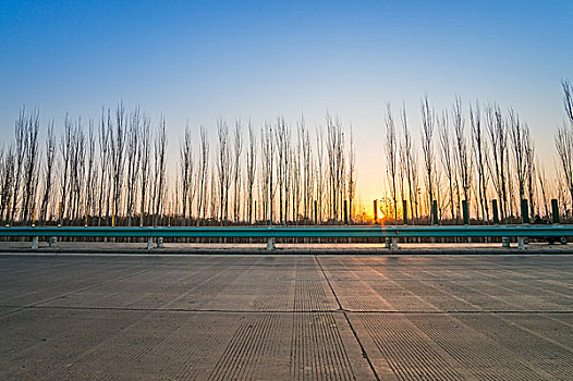 日出,公路,背景