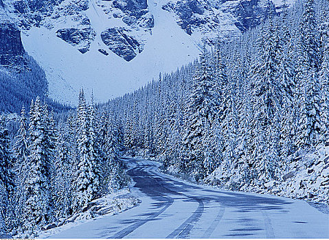 道路,冰碛湖,班芙国家公园,艾伯塔省,加拿大