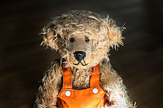 淡棕色,泰迪熊,橙色,背带裤,头像,深色背景