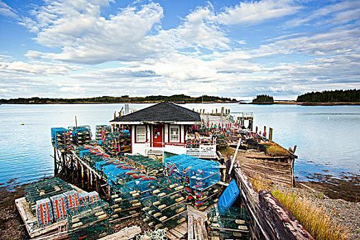 龙虾,浮漂,捕虾器,码头,鹿,岛屿,芬地湾,新布兰斯维克,加拿大