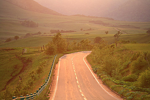 道路,放牧,晚霞