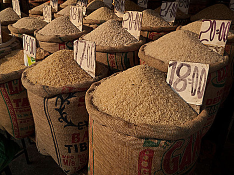 许多,不同,稻米,销售,调味品,批发,市场,老,德里,印度,亚洲