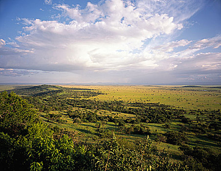 风景,塞伦盖蒂,坦桑尼亚