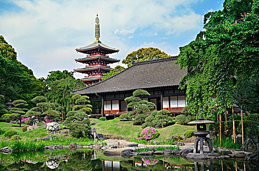 花園,淺草寺,東京,日本