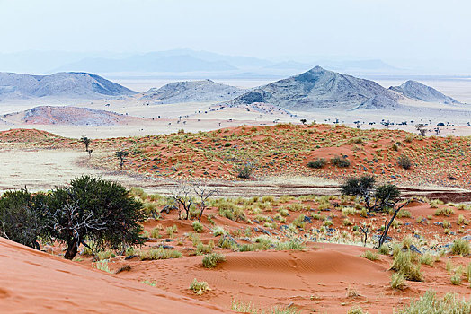风景,山谷,自然保护区,纳米比诺克陆夫国家公园,纳米比亚,非洲