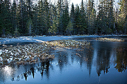 冰,水塘,阿尔冈金省立公园,安大略省,加拿大