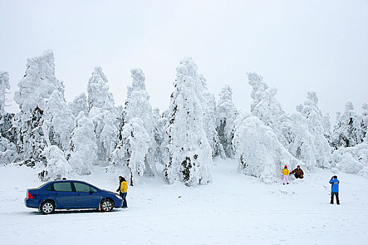 重庆武隆仙女山雪景