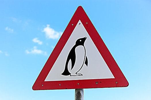 交通,警告标识,企鹅,城镇,漂石,南非,非洲
