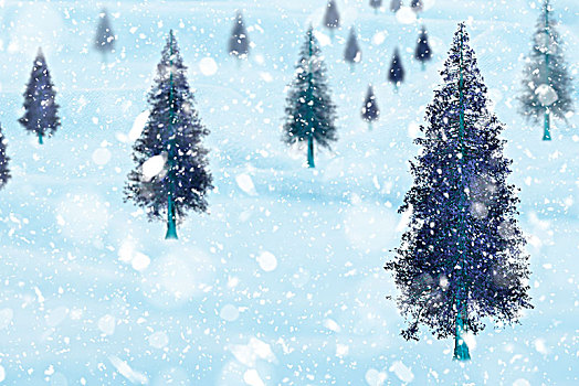 圣诞树雪松红杉