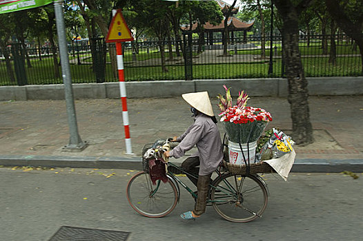 北越,河内,街景,女人,花,自行车