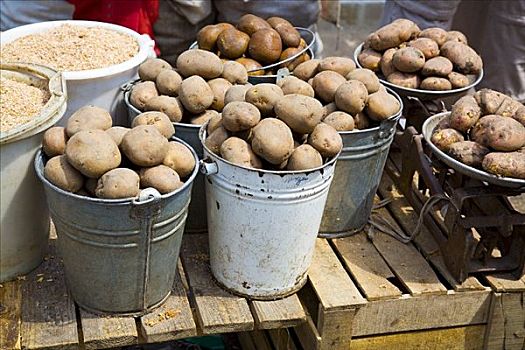 土豆,桶,市场,乌克兰