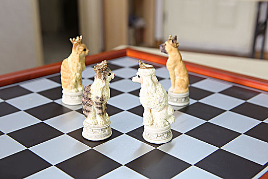 国际象棋素材照片