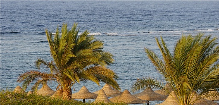埃及,风景