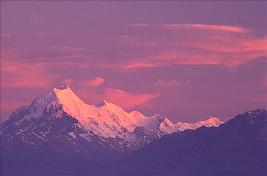 山,烹饪,早晨,南岛,新西兰