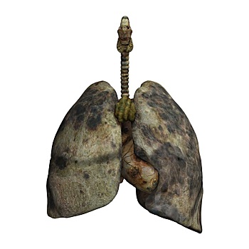 肺,吸烟