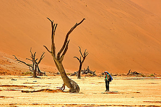 非洲纳米比亚
