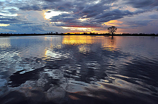 日落,亚马逊流域,自然保护区,靠近,亚马逊,巴西,南美