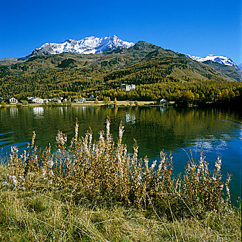 湖,看,正面,山,上恩嘎丁,瑞士,欧洲