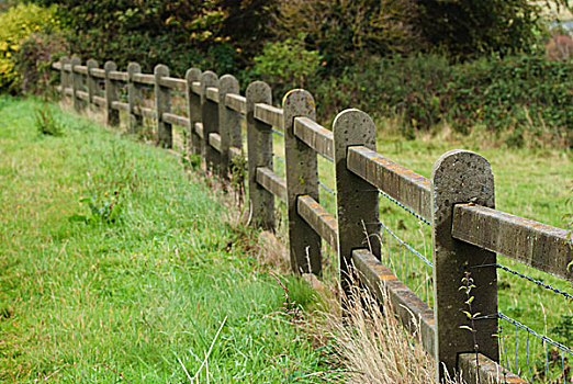 木篱,刺铁丝网,边缘,土地,爱尔兰