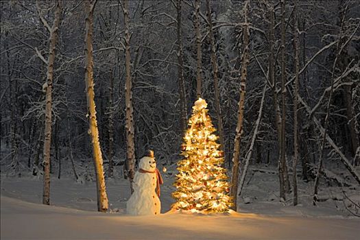 雪人,红色,围巾,黑色上衣,帽子,站立,靠近,圣诞树,雪中,遮盖,桦树,树林,冬天