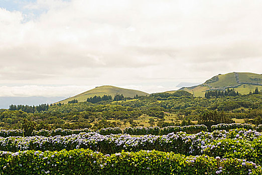 风景