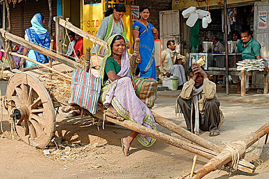 手推车,牛,出售,运输,商品,乡村,马哈拉施特拉邦,印度,一月,2007年