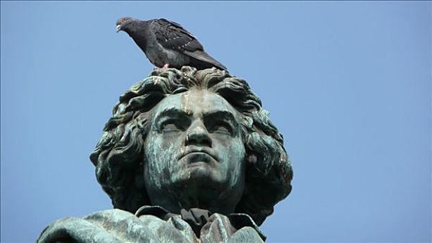 头部,贝多芬,纪念,鸽子,北莱茵威斯特伐利亚,德国