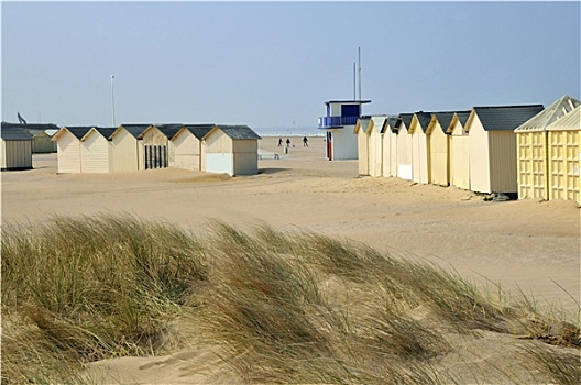 海滩,小屋,沙丘
