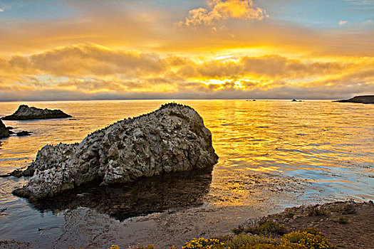日落,鸟岛,罗伯士角州立保护区,加利福尼亚,美国