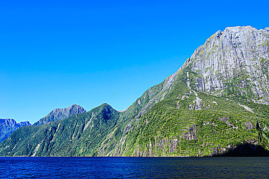 峭壁,米尔福德峡湾,南岛,新西兰