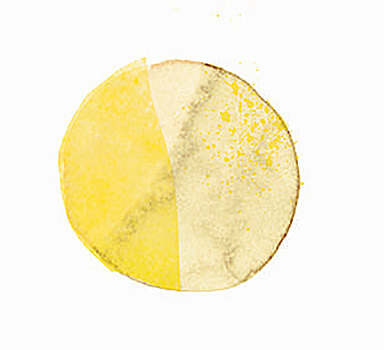 圆,两个,黄色,插画
