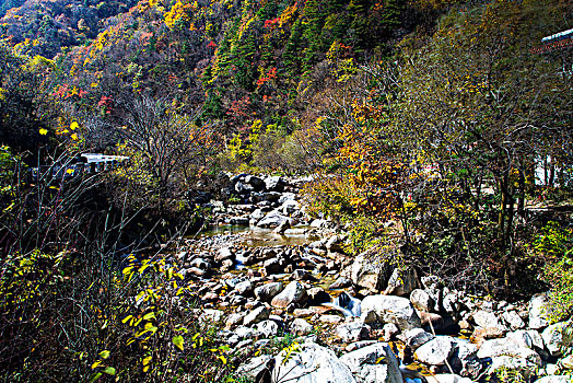 秦岭山