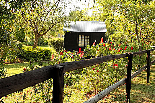 木质,玩具屋,花园