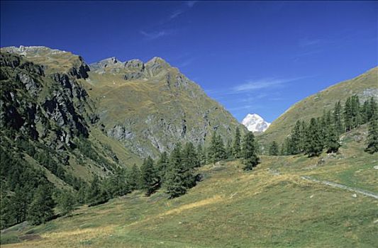 意大利,奥斯塔谷,风景,小,勃朗峰